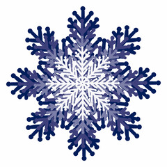 Digital illustration of blue snowflake Winter design Digital illustration for various designs, cards and backgrounds, birthdays and holidays, textile production, printing on packaging, wrapping paper