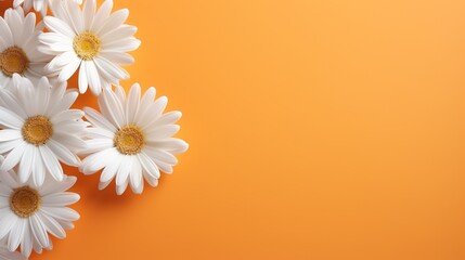  a group of white daisies on an orange background with space for text.  generative ai