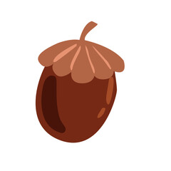 acorn forest autumn squirell food