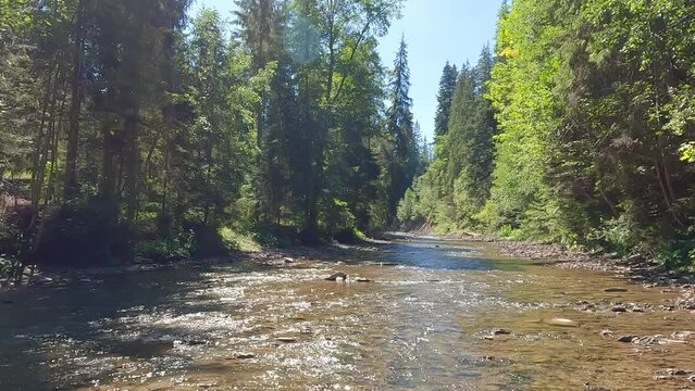 Shimmering reflections of the sun in the clear waters of Prut River. Magnificent summer scene of Carpathian mounatains, Ukraine, Europe. 4K video (Ultra High Definition).