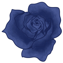 Leafs, flowers, mushrooms butterflies and plants in the garden, blooming flowers, cute butterflies. Lively seasonal