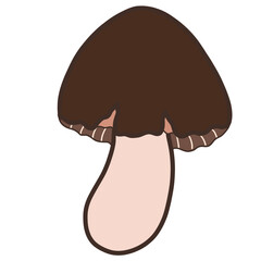 Leafs, flowers, mushrooms butterflies and plants in the garden, blooming flowers, cute butterflies. Lively seasonal