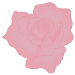 Leafs, flowers, mushrooms butterflies and plants in the garden, blooming flowers, cute butterflies. Lively seasonal