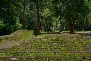 Beautiful Background Textured green natural moss covered the old part ancient Abandoned Temple of Wat Phra That Theru Chan of Buddhist people has been more than 500 years in Chiang Mai Thailand.