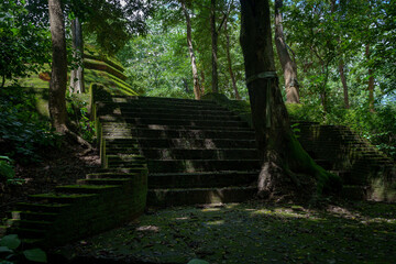 Beautiful Background Textured green natural moss covered the old part ancient Abandoned Temple of Wat Phra That Theru Chan of Buddhist people has been more than 500 years in Chiang Mai Thailand.