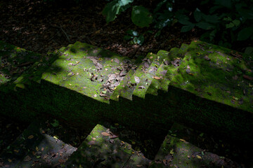 Beautiful Background Textured green natural moss covered the old part ancient Abandoned Temple of Wat Phra That Theru Chan of Buddhist people has been more than 500 years in Chiang Mai Thailand.