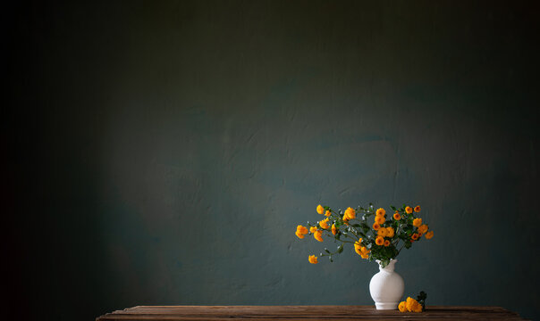 yellow chrysanthemums in white vase on background dark wall