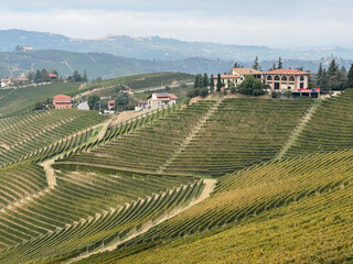Fototapeta na wymiar Italian landscape in Langhe and Monferrato, vineyards are visible on the hills.