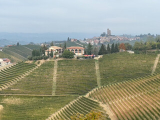 Italian landscape in Langhe and Monferrato, vineyards are visible on the hills. - 666573587