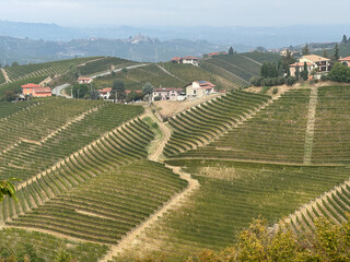 Italian landscape in Langhe and Monferrato, vineyards are visible on the hills. - 666573589