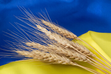 wheat ears lying on flag of Ukraine