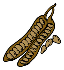 Hand Drawing Vegetables Illustration