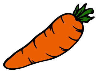 Hand Drawing Vegetables Illustration