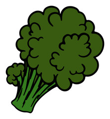 Hand Drawing Vegetables Illustration