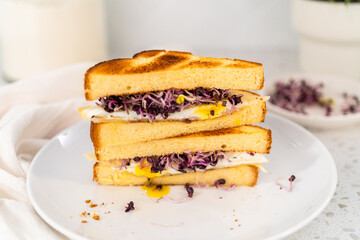 Breakfast Egg and Sprouts Sandwich