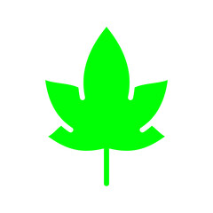 Maple leaf line icon. Greenery, ecology, forest, green peace, let's save nature, cleanliness, life. Vector color icon on white background for business and advertising