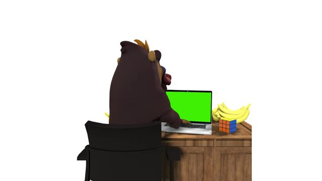 Monkey Working On Laptop Back View With Dozen of Bananas and Cube on Wooden Desk.