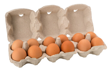 Egg box with chicken eggs, a dozen eggs  in cardboard egg tray made from recycled paper isolated