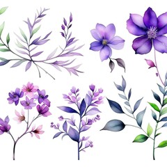 set of watercolor violet flowers