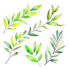 Naklejka premium watercolor green leaves background