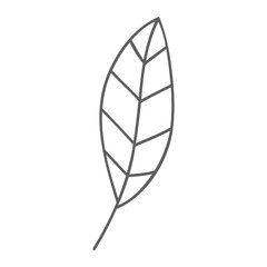 Hand drawn art of elegant leaf.