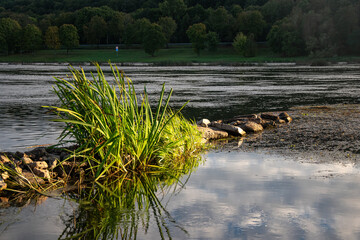 Nature in autumn in Lithuania