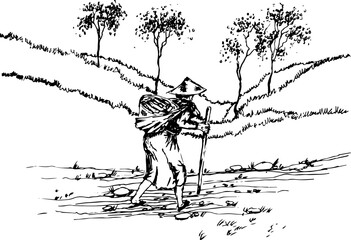 farmers working on the Field. Hand drawn nature illustration. Rice harvest. vector formats