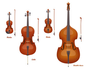 Violin family musical instruments. Violin, Viola, Cello, Double Bass. Very realistic. Vector illustration © Paul Kovaloff