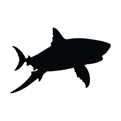 Shark Silhouette on White Background