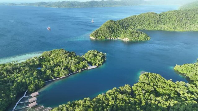 Tropical forest is fringed by coral reefs at Yangeffo Island in Raja Ampat. This area is known as the heart of the Coral Triangle due to its incredible marine biodiversity.