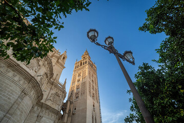 Catedral de Santa María de la Sede, arquitectura de estilo gótico en Sevilla, Andalucía, España.
