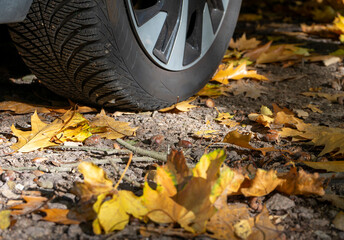Fototapeta na wymiar car tire and autumn leaves