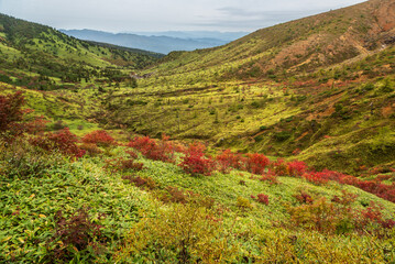 秋の志賀草津高原ルート 山田峠付近から草津白根・芳ヶ平方面の紅葉