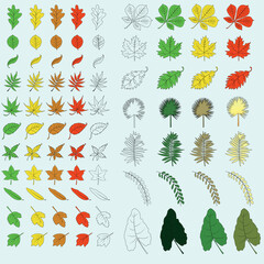vector set of leaves