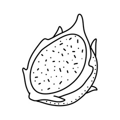 Dragon fruit doodle icon isolated on a white background. vector illustration