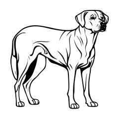 silhouette vector illustration of a dog