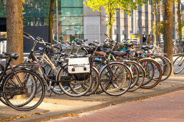 Parked Bikes on a Sunny Street in Amsterdam