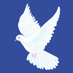 Peace dove, White pigeon, Dove, Peace Symbol