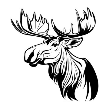 silhouette vector illustration of a moose