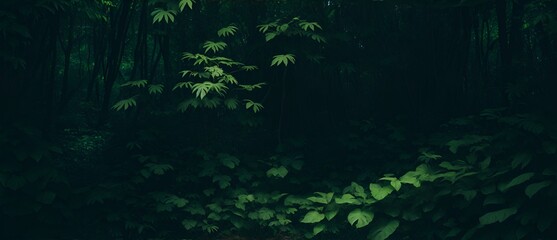Foliage of dark forest jungle from Generative AI