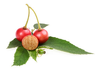 Takhop pak (thai name), Governor's plum (Flacourtia indica (Burm.f.) Merr.)