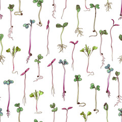 Microgreens hand drawn seamless pattern