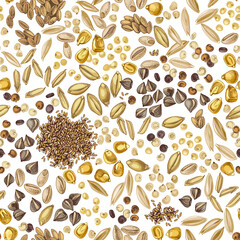 Cereal crop seeds seamless pattern