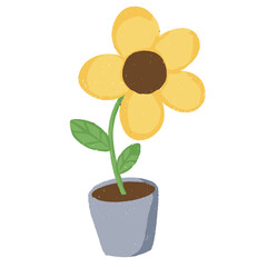 Obraz premium flower in a pot