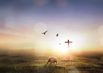 a lost sheep on Silhouettes of crucifix symbol on mountain with bright sunbeam on the colorful sky background - obrazy, fototapety, plakaty