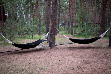 An empty hammock in the woods