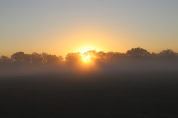 Nature shot along the Neosho River in Oklahoma