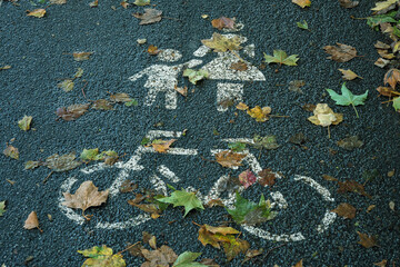 Bicycle lane sign painted on asphalt with maple leaves in autumn.