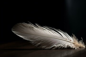 Feather on background. Generative AI