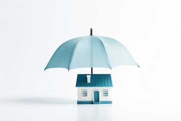 Mini House under Umbrella Insurance in white and blue hues
